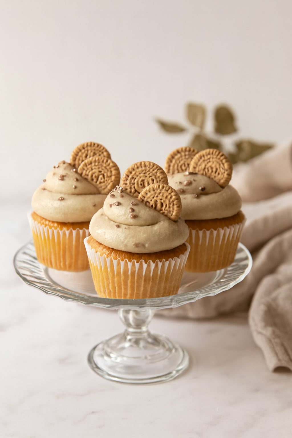 Classic Cupcake Boxes